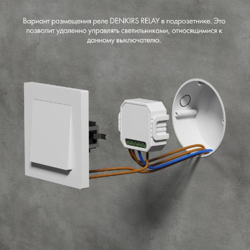 Одноканальное Wi-Fi реле-выключатель Denkirs Relay (Релаы) RL1001-SM/1 - фото 4