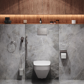 Комплект унитаз с инсталляцией с клавишей смыва с гигиеническим душем и аксессуарами для ванной комнаты Am.Pm Inspire V2.0 CK50GD