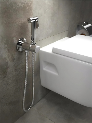 Гигиенический душ BOCH MANN BRAIES СК-P07 BM10408 хром - фото 2