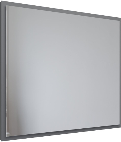 Зеркало в ванную Allen Brau Activity 1.340027.PGM 80х75 цвет платина - фото 3