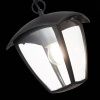 Уличный подвесной светильник ST Luce Sivino (Сивино) SL081.403.01