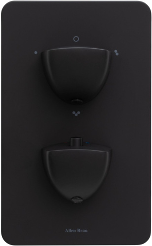 Смеситель для ванны с душем Allen Brau Infinity 5.21316-31 встраиваемый в стену черный с термостатом - фото 3