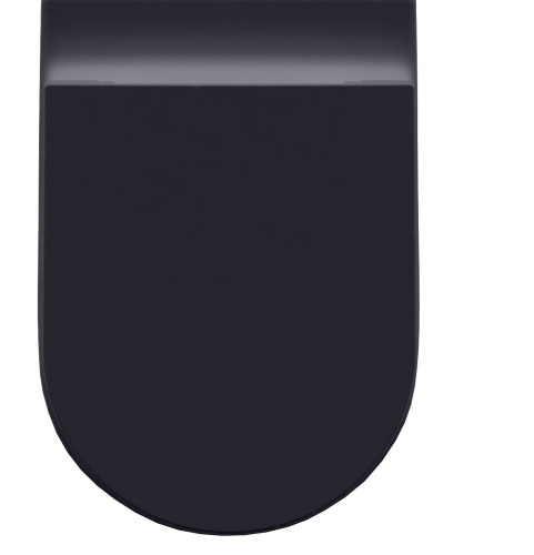 Чаша унитаза приставная Allen Brau Reality 4.32004.AN цвет черный без сиденья безободковая каскадный смыв - фото 2