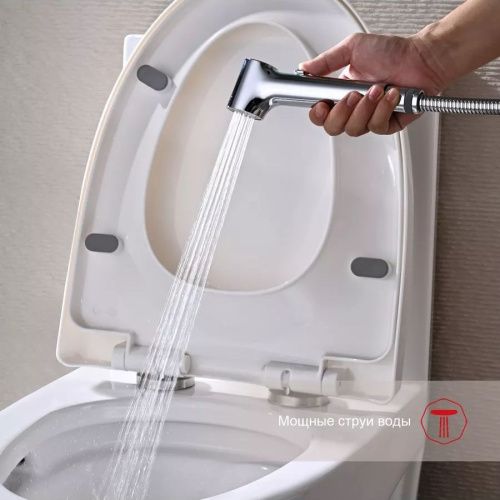 Гигиенический душ со смесителем Raglo R03.52 хром - фото 5