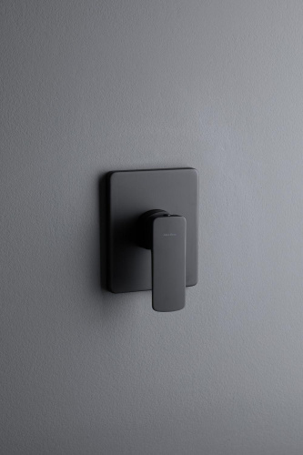 Смеситель для душа Allen Brau Infinity 5.21015-31 встраиваемый в стену черный - фото 5