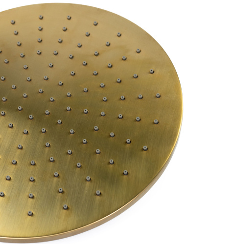 Душевая антикальцевая головка Emmevi C06657mm300/ORS цвет брашированное золото - фото 4