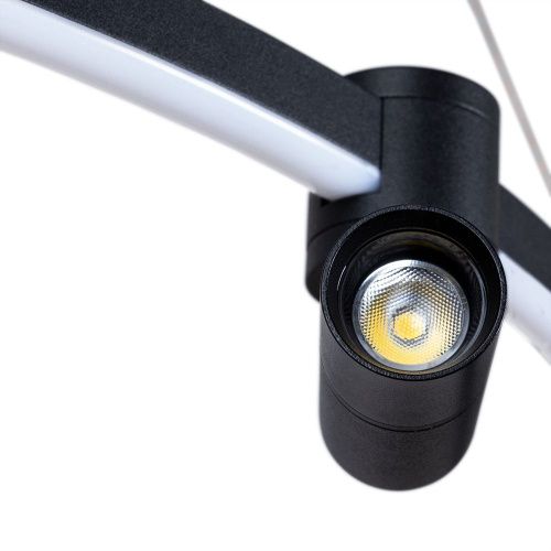 Люстра подвесная Arte Lamp Ring (Ринг) A2186SP-1BK - фото 2