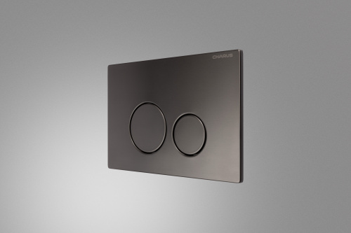 Клавиша смыва механическая CHARUS Robusto FP.330.GNM.05 - фото 4