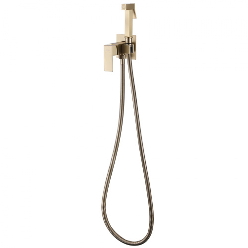 Гигиенический душ со смесителем ABBER Daheim AF8226G золото матовое - фото 2