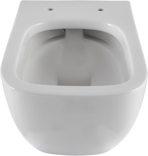 Унитаз с инсталляцией Allen Brau Infinity 00316505 подвесной - фото 2