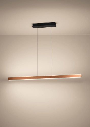 Линейный подвесной светильник Eglo Ciggiano (Циггиано) 390499 - фото 2