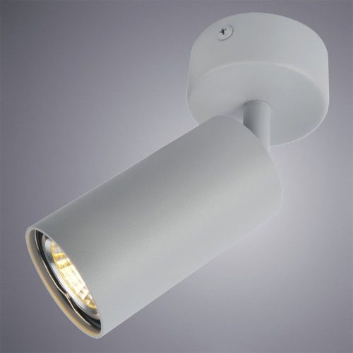 Спот Arte Lamp Aquarius (Акуариус) A3216PL-1GY - фото 3