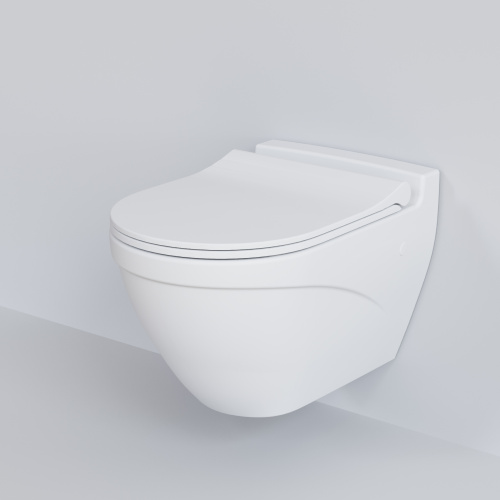 Унитаз подвесной Ambassador Nord 133T20101-132T20101S белый матовый с сиденьем микролифт - фото 5