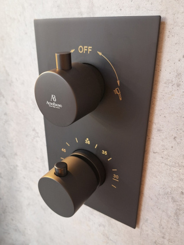 Душевая система AltroBagno Unione AltroBagnoUnione040408MB встраиваемая в стену - фото 3