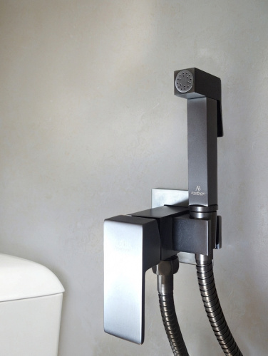 Гигиенический душ со смесителем AltroBagno BM AltroBagnoBM060121GM оружейная сталь - фото 2