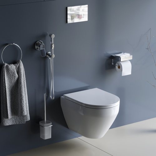 Комплект унитаз с инсталляцией с клавишей смыва с гигиеническим душем и аксессуарами для ванной комнаты Am.Pm Spirit CK70HA - фото 3