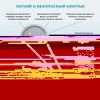 Зеркало с подсветкой Wellsee 7 Rays' Spectrum 172201600 50х90 подвесное