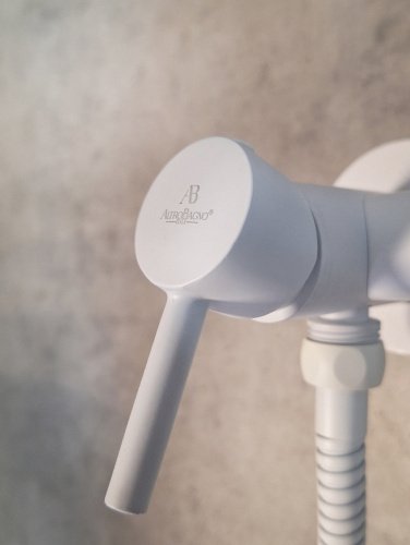 Гигиенический душ со смесителем AltroBagno Modern AltroBagnoModern060124MW белый матовый - фото 3