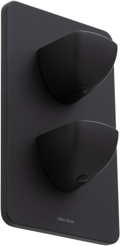 Смеситель для ванны с душем Allen Brau Infinity 5.21116-31 встраиваемый в стену черный с термостатом - фото 2