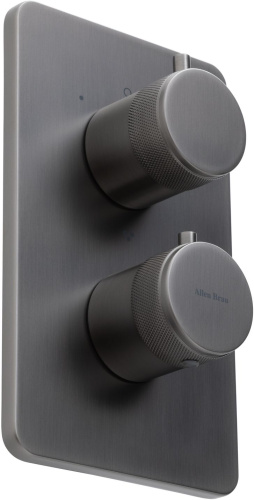 Смеситель для ванны с душем Allen Brau Priority 5.31314-MG встраиваемый в стену серый с термостатом - фото 2