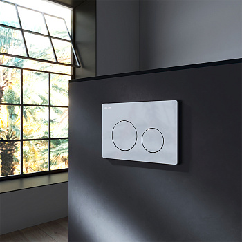 Клавиша смыва механическая Am.Pm PrimeFit L I090151 цвет хром