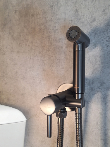 Гигиенический душ со смесителем AltroBagno Modern AltroBagnoModern060118GM оружейная сталь - фото 2