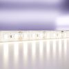 Светодиодная лента Maytoni Led Strip 10112