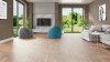 SPC ламинат Alpine Floor Parquet Premium ECO 19-2 MC Дуб Royal толщина 0.8 см 43 класс 600х125