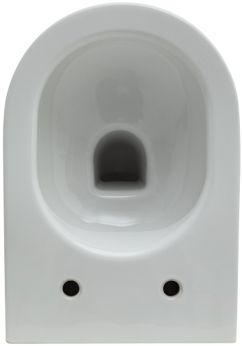 Унитаз с инсталляцией Allen Brau Reality 00316510 подвесной - фото 3