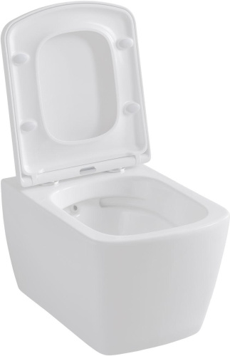 Чаша унитаза подвесная Allen Brau Liberty 4.33004.20 цвет белый без сиденья безободковая каскадный смыв - фото 2