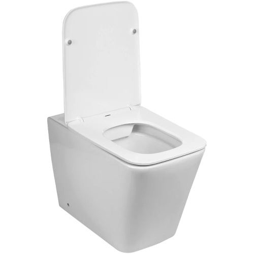Унитаз приставной WeltWasser 10000003664 белый глянцевый с сиденьем микролифт безободковый душевой смыв - фото 2