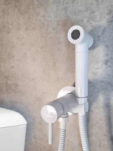 Гигиенический душ со смесителем AltroBagno Modern AltroBagnoModern060125Wt белый - фото 2