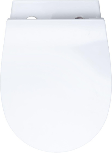 Чаша унитаза подвесная Allen Brau Fantasy 4.11004.20 цвет белый без сиденья безободковая каскадный смыв - фото 4