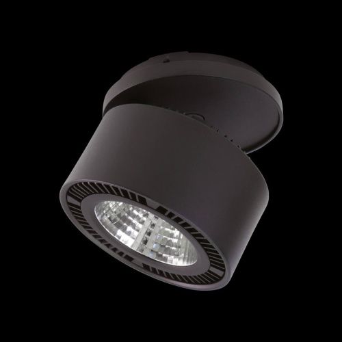 Спот Lightstar FORTE INCA (ФОРТЕ ИНЦА) 213847 - фото 3