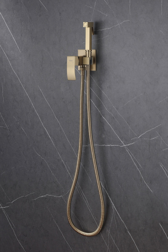 Гигиенический душ со смесителем ABBER Wasserfall AF8625G золото матовое - фото 3