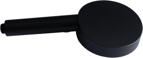 Душевая лейка Allen Brau Priority 5.31B20-31 черный - фото 2