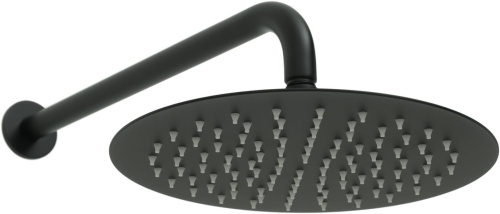 Верхний душ Allen Brau Priority 5.31A17-31 черный - фото 2