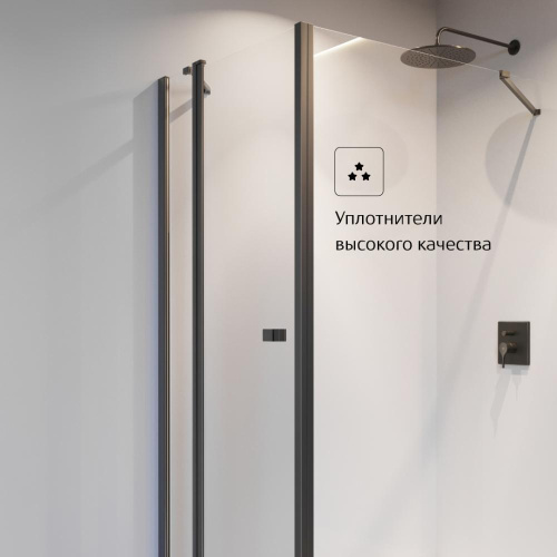 Душевая дверь Roca CAPITAL 7.M461.0.016.M 100x195 стекло прозрачное профиль черный - фото 4