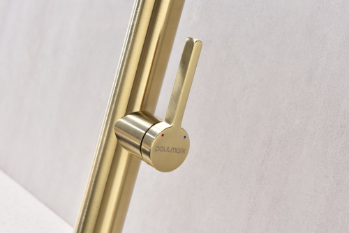 Смеситель для кухни Paulmark LEADER Le214101-LG на раковину светлое брашированное золото - фото 5