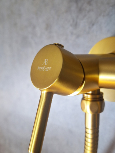 Гигиенический душ со смесителем AltroBagno Modern AltroBagnoModern060117BG золото матовое - фото 3