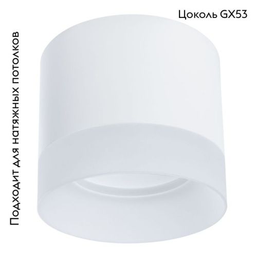 Светильник потолочный Arte Lamp Castor (Цастор) A5554PL-1WH - фото 2
