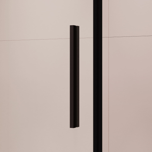 Душевая дверь RGW Leipzig 34121219-14 190х195 стекло прозрачное профиль черный - фото 5