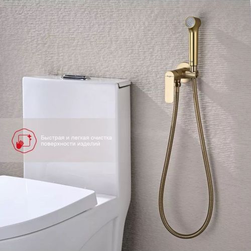Гигиенический душ со смесителем Raglo R03.52.03 сатин золотой - фото 3