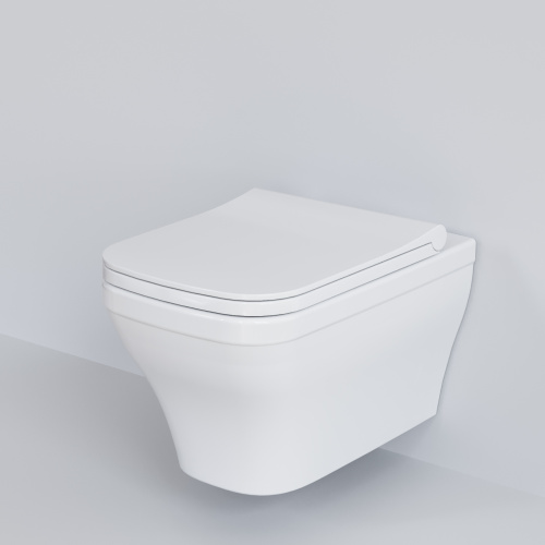 Унитаз подвесной Ambassador Benefit 203T20001R-202T20001S белый глянцевый с сиденьем микролифт - фото 5