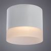 Светильник потолочный Arte Lamp Castor (Цастор) A5554PL-1WH