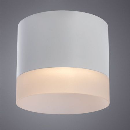 Светильник потолочный Arte Lamp Castor (Цастор) A5554PL-1WH