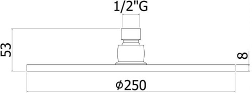 Верхний душ Paffoni Master Speciale ZSOF101CR хром - фото 2