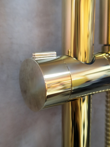 Душевой гарнитур AltroBagno Costanza AltroBagnoCostanza030302Or настенный золото - фото 5