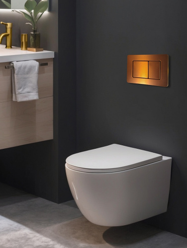 Клавиша смыва механическая AltroBagno Beni aggiuntivi AltroBagnoPFP003FQ цвет розовый матовый - фото 2