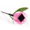 Светильник на солнечных батареях (UL-00004275) Uniel Promo (Промо) USL-C-651/PT305 Tulip Set 24